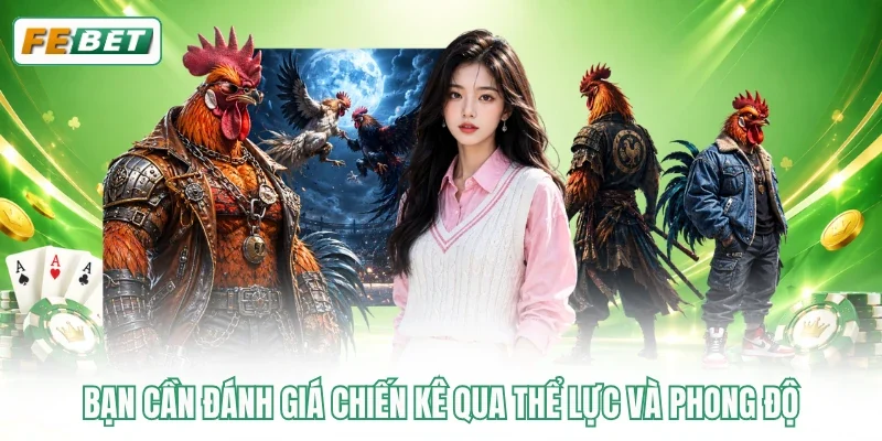 Bạn cần đánh giá chiến kê qua thể lực và phong độ
