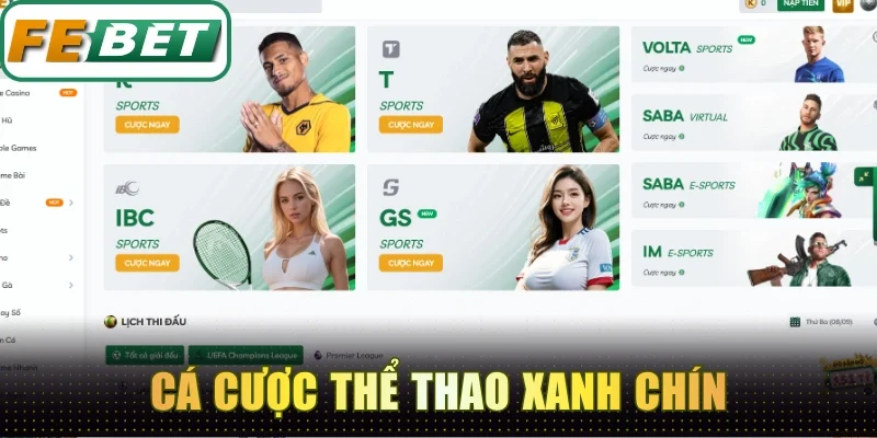 Cá cược thể thao xanh chín kèo thơm nổ liên tục