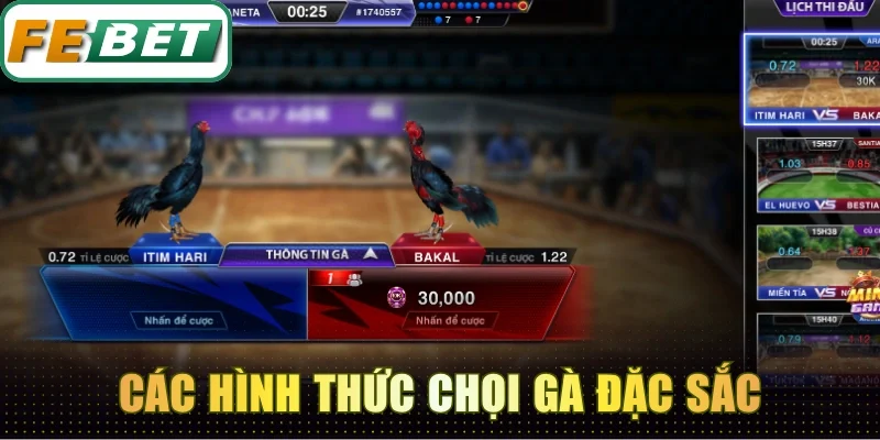 Đá Gà Febet - Đấu Trường Chọi Kê Kịch Tính Xem Không Chán 5 Các hình thức chọi gà đặc sắc được yêu thích nhất