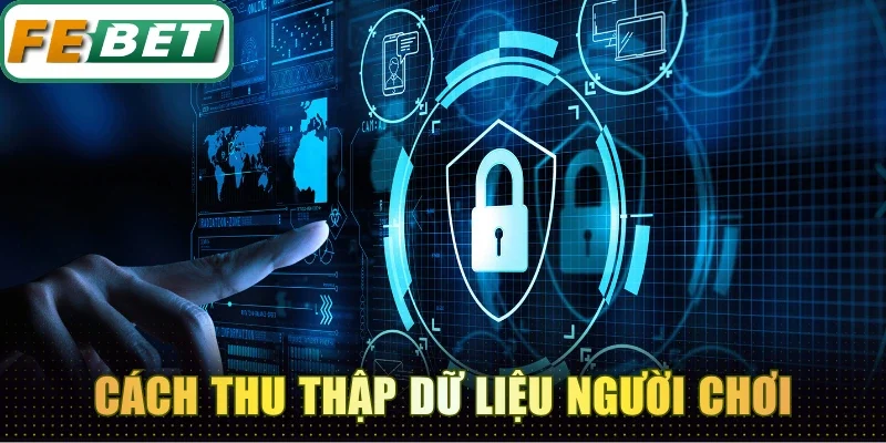 Chính Sách Bảo Mật Febet - Quản Lý Dữ Liệu An Toàn 100% 2 Cách nhà cái sử dụng để thu thập dữ liệu người chơi