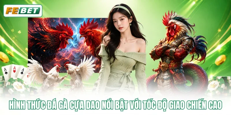 Hình thức đá gà cựa dao nổi bật với tốc độ giao chiến cao