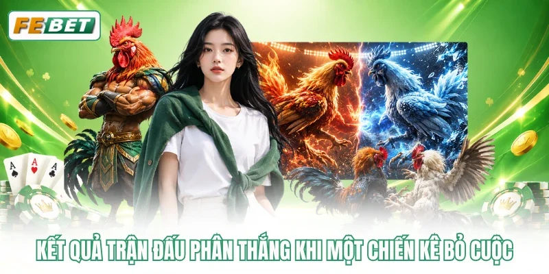 Kết quả trận đấu phân thắng khi một chiến kê bỏ cuộc