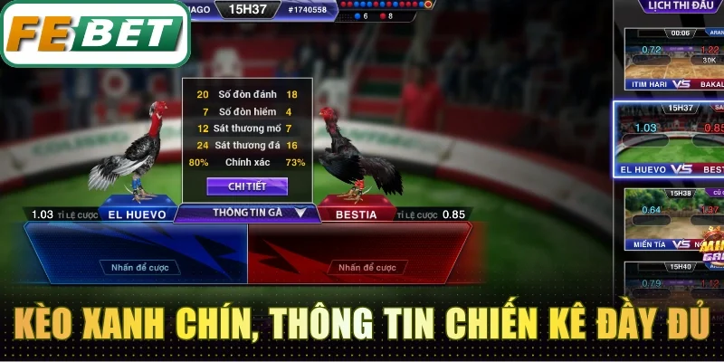 Đá Gà Febet - Đấu Trường Chọi Kê Kịch Tính Xem Không Chán 4 Mở kèo xanh chín, cung cấp thông tin chiến kê đầy đủ
