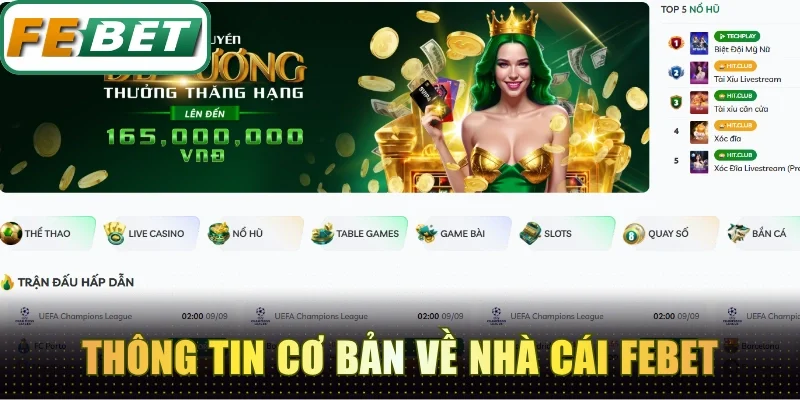 Nắm bắt các thông tin cơ bản về nhà cái Febet