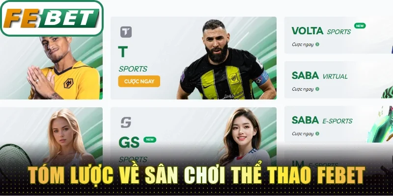 Thể Thao Febet - Sân Chơi Xanh Chín Cá Cược Thả Ga 1 Thông tin tóm lược về sân chơi thể thao Febet