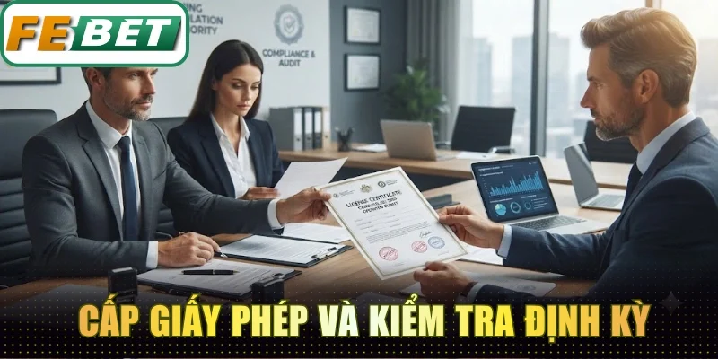 Tiến hành cấp giấy phép hoạt động và kiểm tra định kỳ