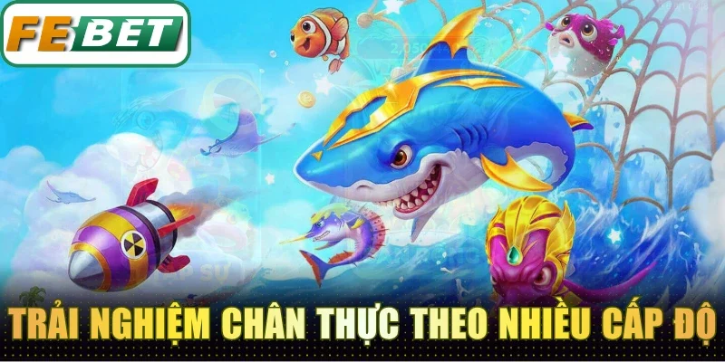Trải nghiệm chân thực theo nhiều cấp độ